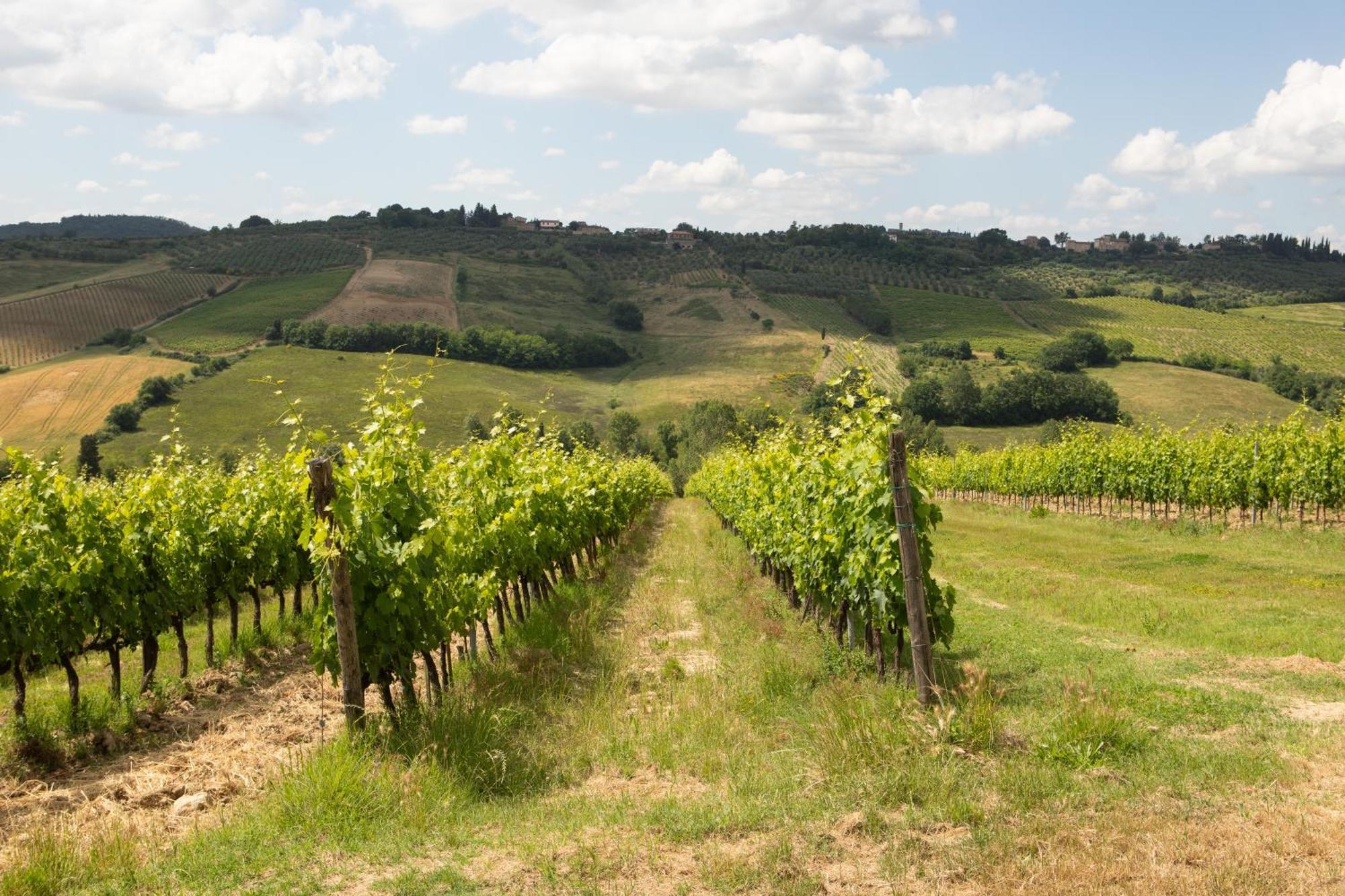 Vittoria Chianti Vacations Poggibonsi Exterior foto
