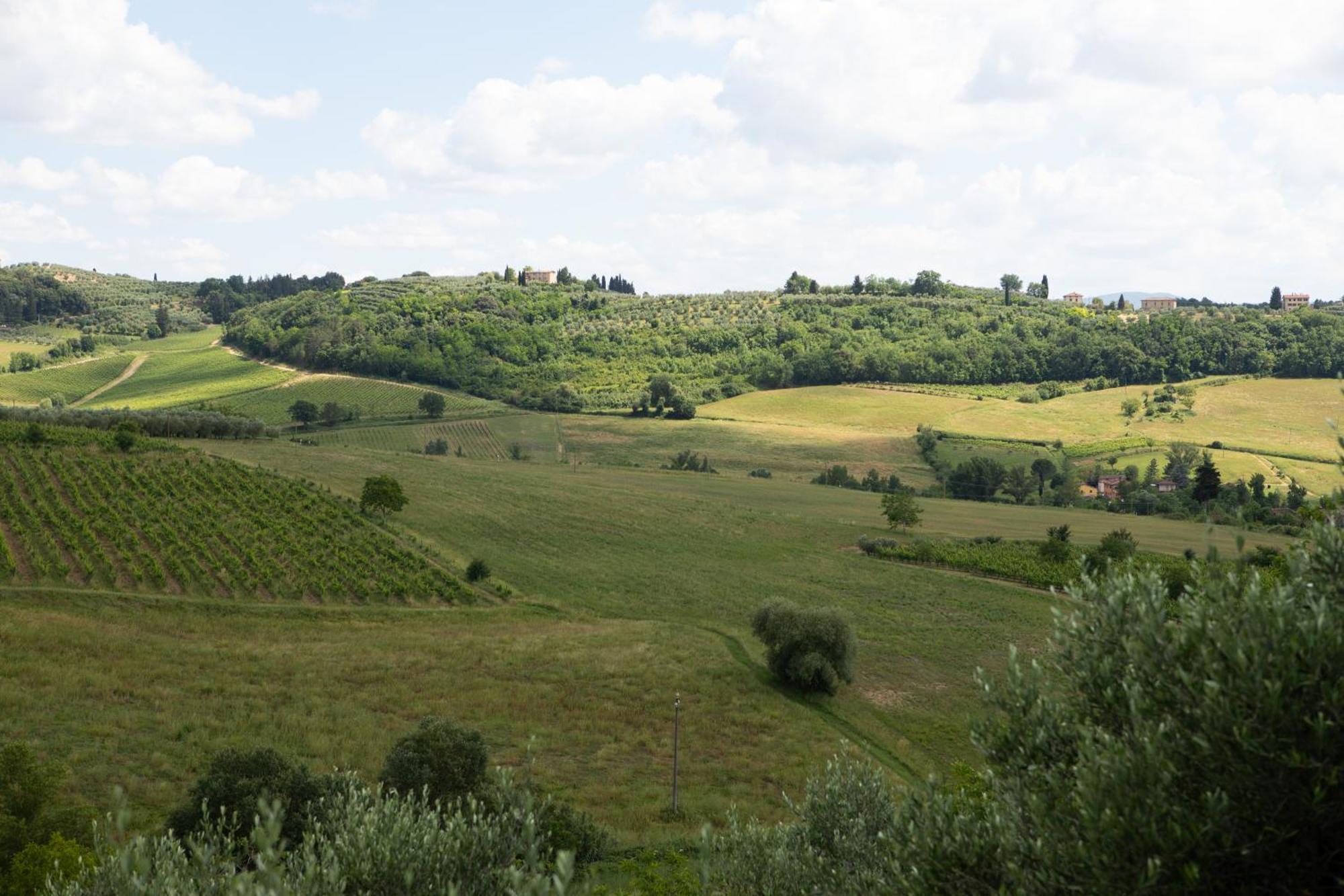 Vittoria Chianti Vacations Poggibonsi Exterior foto